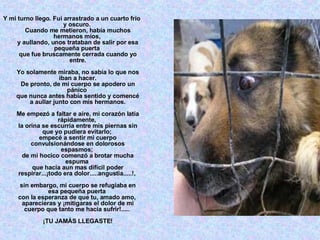 Y mi turno llego. Fui arrastrado a un cuarto frío y oscuro.  Cuando me metieron, había muchos hermanos míos,  y aullando, unos trataban de salir por esa pequeña puerta  que fue bruscamente cerrada cuando yo entre. Yo solamente miraba, no sabía lo que nos iban a hacer. De pronto, de mi cuerpo se apodero un pánico  que nunca antes había sentido y comencé a aullar junto con mis hermanos. Me empezó a faltar e aire, mi corazón latía rápidamente,  la orina se escurría entre mis piernas sin que yo pudiera evitarlo;  empecé a sentir mi cuerpo convulsionándose en dolorosos espasmos;  de mi hocico comenzó a brotar mucha espuma  que hacia aun mas difícil poder respirar...¡todo era dolor.....angustia.....!,  sin embargo, mi cuerpo se refugiaba en esa pequeña puerta  con la esperanza de que tu, amado amo,  aparecieras y ¡mitigaras el dolor de mi cuerpo que tanto me hacia sufrir!.....  ¡TU JAMÁS LLEGASTE! 