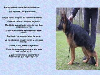 Poco a poco trataste de tranquilizarme  - y lo lograste - mi querido amo, porque tu voz era para mi como un bálsamo  capaz de calmar cualquier angustia.  Me dijiste que no tuviera miedo, que ibas a regresar por mi,  y que nuevamente volveríamos a estar juntos. Eso basto para que mi alma de perro  ya no albergara ningún temor, y entonces me dije:  "ya ves, Lobo, estas exagerando.  Entra, tienes que demostrarle a tu amo que confías en él,  y que valientemente esperaras el momento en que regrese por ti".  