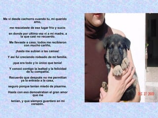 Me vi desde cachorro cuando tu, mi querido amo,  me rescataste de ese lugar frío y sucio  en donde por ultima vez vi a mi madre, a la que casi no recuerdo. Me llevaste a casa; todos me recibieron con mucho cariño,  ¡hasta me subían a las camas!  Y así fui creciendo rodeado de mi familia,  ¡que era todo y lo único que tenia!  Y conocí contigo la lealtad y la felicidad de tu compañía. Recuerdo que después no me permitían ya la entrada a la casa,  seguro porque tenían miedo de pisarme.  Hasta con eso demostraban el gran amor que me tenían, y que siempre guardare en mi corazón.   
