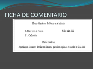FICHA DE COMENTARIO
 