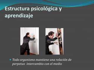 Estructura psicológica y
aprendizaje




  Todo organismo mantiene una relación de
   perpetuo intercambio con el medio
 