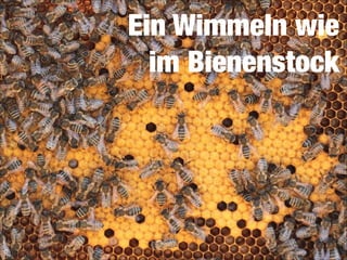 Ein Wimmeln wie 
im Bienenstock

 