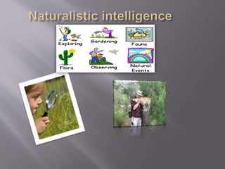 Multiple Intelligences 1 | PPTX