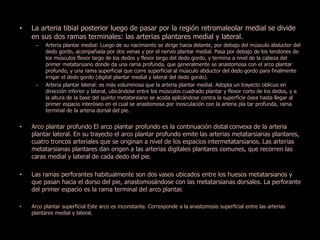 • La arteria tibial posterior luego de pasar por la región retromaleolar medial se divide 
en sus dos ramas terminales: las arterias plantares medial y lateral. 
– Arteria plantar medial: Luego de su nacimiento se dirige hacia delante, por debajo del músculo abductor del 
dedo gordo, acompañada por dos venas y por el nervio plantar medial. Pasa por debajo de los tendones de 
los músculos flexor largo de los dedos y flexor largo del dedo gordo, y termina a nivel de la cabeza del 
primer metatarsiano donde da una rama profunda, que generalmente se anastomosa con el arco plantar 
profundo, y una rama superficial que corre superficial al músculo abductor del dedo gordo para finalmente 
irrigar el dedo gordo (digital plantar medial y lateral del dedo gordo). 
– Arteria plantar lateral: es más voluminosa que la arteria plantar medial. Adopta un trayecto oblicuo en 
dirección inferior y lateral, ubicándose entre los músculos cuadrado plantar y flexor corto de los dedos, y a 
la altura de la base del quinto metatarsiano se acoda aplicándose contra la superficie ósea hasta llegar al 
primer espacio interóseo en el cual se anastomosa por inosculación con la arteria pla tar profunda, rama 
terminal de la arteria dorsal del pie. 
• Arco plantar profundo El arco plantar profundo es la continuación distal convexa de la arteria 
plantar lateral. En su trayecto el arco plantar profundo emite las arterias metatarsianas plantares, 
cuatro troncos arteriales que se originan a nivel de los espacios intermetatarsianos. Las arterias 
metatarsianas plantares dan origen a las arterias digitales plantares comunes, que recorren las 
caras medial y lateral de cada dedo del pie. 
• Las ramas perforantes habitualmente son dos vasos ubicados entre los huesos metatarsianos y 
que pasan hacia el dorso del pie, anastomosándose con las metatarsianas dorsales. La perforante 
del primer espacio es la rama terminal del arco plantar. 
• Arco plantar superficial Este arco es inconstante. Corresponde a la anastomosis superficial entre las arterias 
plantares medial y lateral. 
 