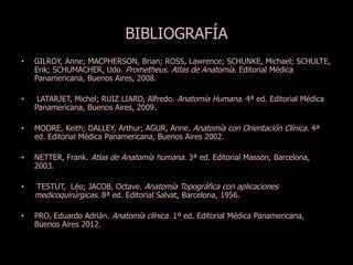 BIBLIOGRAFÍA 
• GILROY, Anne; MACPHERSON, Brian; ROSS, Lawrence; SCHUNKE, Michael; SCHULTE, 
Erik; SCHUMACHER, Udo. Prometheus. Atlas de Anatomía. Editorial Médica 
Panamericana, Buenos Aires, 2008. 
• LATARJET, Michel; RUIZ LIARD, Alfredo. Anatomía Humana. 4ª ed. Editorial Médica 
Panamericana, Buenos Aires, 2009. 
• MOORE, Keith; DALLEY, Arthur; AGUR, Anne. Anatomía con Orientación Clínica. 4ª 
ed. Editorial Médica Panamericana, Buenos Aires 2002. 
• NETTER, Frank. Atlas de Anatomía humana. 3ª ed. Editorial Masson, Barcelona, 
2003. 
• TESTUT, Léo; JACOB, Octave. Anatomía Topográfica con aplicaciones 
medicoquirúrgicas. 8ª ed. Editorial Salvat, Barcelona, 1956. 
• PRO, Eduardo Adrián. Anatomía clínica. 1º ed. Editorial Médica Panamericana, 
Buenos Aires 2012. 
