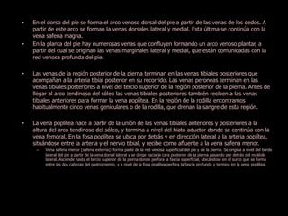 • En el dorso del pie se forma el arco venoso dorsal del pie a partir de las venas de los dedos. A 
partir de este arco se forman la venas dorsales lateral y medial. Esta última se continúa con la 
vena safena magna. 
• En la planta del pie hay numerosas venas que confluyen formando un arco venoso plantar, a 
partir del cual se originan las venas marginales lateral y medial, que están comunicadas con la 
red venosa profunda del pie. 
• Las venas de la región posterior de la pierna terminan en las venas tibiales posteriores que 
acompañan a la arteria tibial posterior en su recorrido. Las venas peroneas terminan en las 
venas tibiales posteriores a nivel del tercio superior de la región posterior de la pierna. Antes de 
llegar al arco tendinoso del sóleo las venas tibiales posteriores también reciben a las venas 
tibiales anteriores para formar la vena poplítea. En la región de la rodilla encontramos 
habitualmente cinco venas geniculares o de la rodilla, que drenan la sangre de esta región. 
• La vena poplítea nace a partir de la unión de las venas tibiales anteriores y posteriores a la 
altura del arco tendinoso del sóleo, y termina a nivel del hiato aductor donde se continúa con la 
vena femoral. En la fosa poplítea se ubica por detrás y en dirección lateral a la arteria poplítea, 
situándose entre la arteria y el nervio tibial, y recibe como afluente a la vena safena menor. 
– Vena safena menor [safena externa]: forma parte de la red venosa superficial del pie y de la pierna. Se origina a nivel del borde 
lateral del pie a partir de la vena dorsal lateral y se dirige hacia la cara posterior de la pierna pasando por detrás del maléolo 
lateral. Asciende hasta el tercio superior de la pierna donde perfora la fascia superficial, ubicándose en el surco que se forma 
entre las dos cabezas del gastrocnemio, y a nivel de la fosa poplítea perfora la fascia profunda y termina en la vena poplítea. 
 