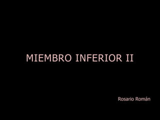 MIEMBRO INFERIOR II 
Rosario Román 
 