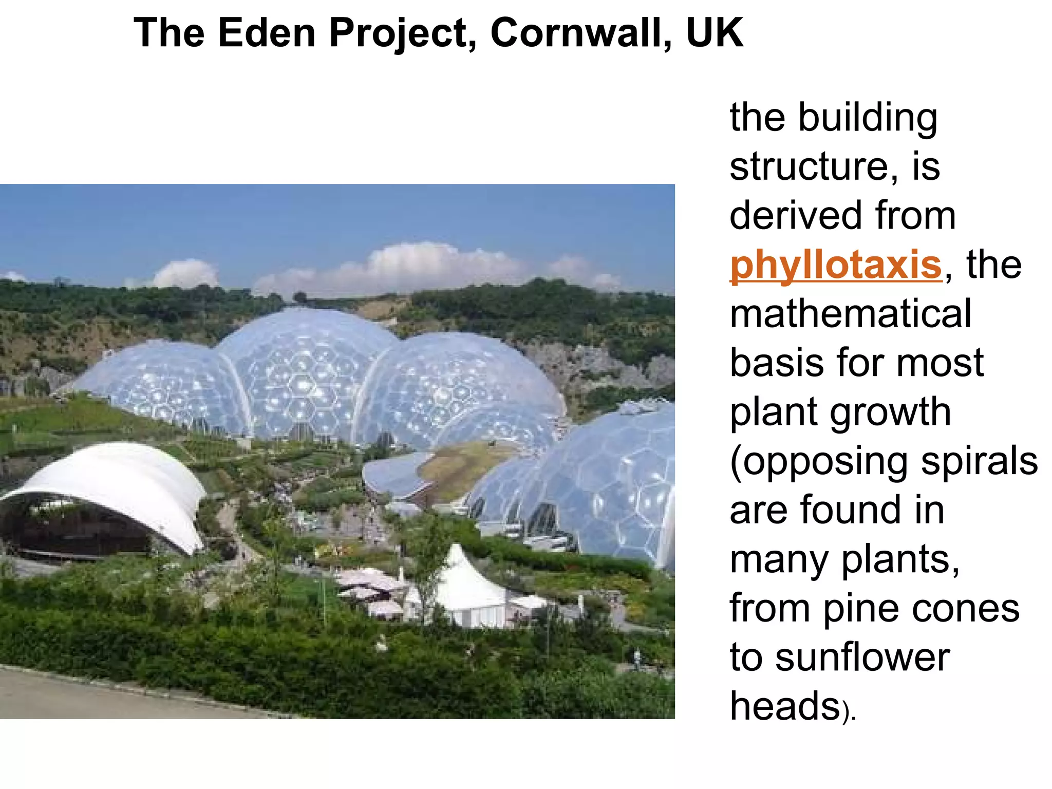 The Eden Project, Cornwall, UK the building structure, is derived from  phyllotaxis , the mathematical basis for most plant growth (opposing spirals are found in many plants, from pine cones to sunflower heads ). 