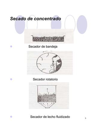 Secado de concentrado
Secador de bandeja
5
Secador rotatorio
Secador de lecho fluidizado
 
