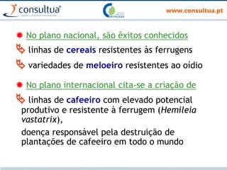 No plano nacional, são êxitos conhecidos
 linhas de cereais resistentes às ferrugens
 variedades de meloeiro resistentes ao oídio
 No plano internacional cita-se a criação de
 linhas de cafeeiro com elevado potencial
produtivo e resistente à ferrugem (Hemileia
vastatrix),
doença responsável pela destruição de
plantações de cafeeiro em todo o mundo
 