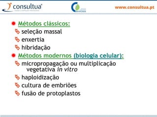  Métodos clássicos:
 seleção massal
 enxertia
 hibridação
 Métodos modernos (biologia celular):
 micropropagação ou multiplicação
vegetativa in vitro
 haploidização
 cultura de embriões
 fusão de protoplastos
 