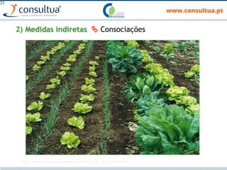23
2) Medidas indiretas  Consociações
http://mundoorgnico.blogspot.com/2009_01_01_archive.html
 