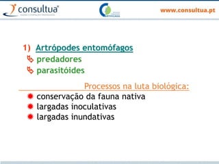 1) Artrópodes entomófagos
 predadores
 parasitóides
Processos na luta biológica:
 conservação da fauna nativa
 largadas inoculativas
 largadas inundativas
 