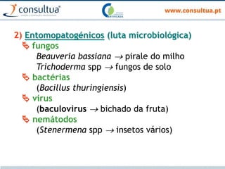 2) Entomopatogénicos (luta microbiológica)
 fungos
Beauveria bassiana  pirale do milho
Trichoderma spp  fungos de solo
 bactérias
(Bacillus thuringiensis)
 vírus
(baculovirus  bichado da fruta)
 nemátodos
(Stenermena spp  insetos vários)
 