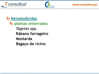 3) Nematodicidas
 plantas enterradas
Tagetes spp.
Rábano forrageiro
Mostarda
Bagaço de rícino
 