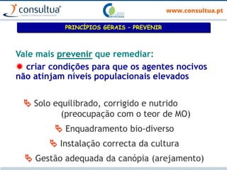 Vale mais prevenir que remediar:
 criar condições para que os agentes nocivos
não atinjam níveis populacionais elevados
PRINCÍPIOS GERAIS – PREVENIR
 Solo equilibrado, corrigido e nutrido
(preocupação com o teor de MO)
 Enquadramento bio-diverso
 Instalação correcta da cultura
 Gestão adequada da canópia (arejamento)
 