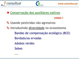  Conservação dos auxiliares nativos
COMO ?
 Usando pesticidas não agressivos
 Introduzindo diversidade no ecossistema
Bandas de compensação ecológica (BCE)
Bordaduras ervadas
Adubos verdes
Sebes
...
 