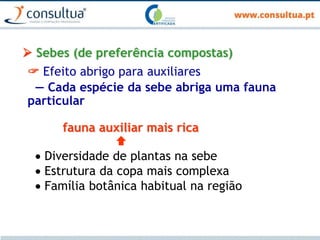  Sebes (de preferência compostas)
 Efeito abrigo para auxiliares
— Cada espécie da sebe abriga uma fauna
particular
fauna auxiliar mais rica

 Diversidade de plantas na sebe
 Estrutura da copa mais complexa
 Família botânica habitual na região
 