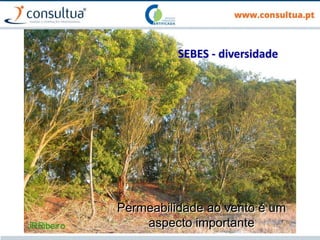 36
SEBES - diversidade
Permeabilidade ao vento é um
aspecto importante
 
