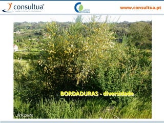 38
BORDADURAS - diversidade
 