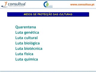 Quarentena
Luta genética
Luta cultural
Luta biológica
Luta biotécnica
Luta física
Luta química
MEIOS DE PROTECÇÃO DAS CULTURAS
 