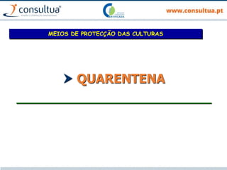  QUARENTENA
___________________________
MEIOS DE PROTECÇÃO DAS CULTURAS
 