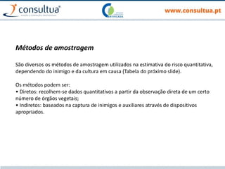 Métodos de amostragem
São diversos os métodos de amostragem utilizados na estimativa do risco quantitativa,
dependendo do inimigo e da cultura em causa (Tabela do próximo slide).
Os métodos podem ser:
• Diretos: recolhem-se dados quantitativos a partir da observação direta de um certo
número de órgãos vegetais;
• Indiretos: baseados na captura de inimigos e auxiliares através de dispositivos
apropriados.
 