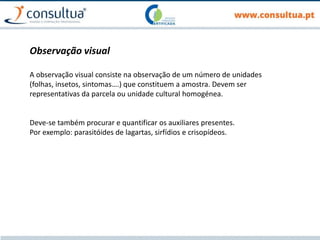 Observação visual
A observação visual consiste na observação de um número de unidades
(folhas, insetos, sintomas….) que constituem a amostra. Devem ser
representativas da parcela ou unidade cultural homogénea.
Deve-se também procurar e quantificar os auxiliares presentes.
Por exemplo: parasitóides de lagartas, sirfídios e crisopídeos.
 