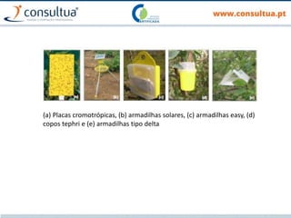 (a) Placas cromotrópicas, (b) armadilhas solares, (c) armadilhas easy, (d)
copos tephri e (e) armadilhas tipo delta
 