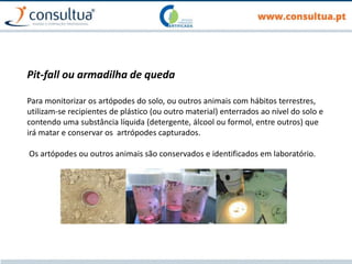 Pit-fall ou armadilha de queda
Para monitorizar os artópodes do solo, ou outros animais com hábitos terrestres,
utilizam-se recipientes de plástico (ou outro material) enterrados ao nível do solo e
contendo uma substância líquida (detergente, álcool ou formol, entre outros) que
irá matar e conservar os artrópodes capturados.
Os artópodes ou outros animais são conservados e identificados em laboratório.
 