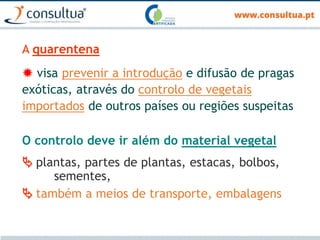A quarentena
 visa prevenir a introdução e difusão de pragas
exóticas, através do controlo de vegetais
importados de outros países ou regiões suspeitas
O controlo deve ir além do material vegetal
 plantas, partes de plantas, estacas, bolbos,
sementes,
 também a meios de transporte, embalagens
 