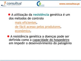  A utilização da resistência genética é um
dos métodos de controlo
mais eficientes,
de fácil acesso pelos produtores,
económico,
 A resistência genética a doenças pode ser
definida como a capacidade do hospedeiro
em impedir o desenvolvimento do patogénio
 