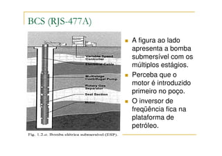 BCS (RJS-477A)
                 A figura ao lado
                 apresenta a bomba
                 submersível com os
                 múltiplos estágios.
                 Perceba que o
                 motor é introduzido
                 primeiro no poço.
                 O inversor de
                 freqüência fica na
                 plataforma de
                 petróleo.
 