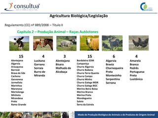 Modo de Produção Biológico de Animais e de Produtos de Origem Animal
Agricultura Biológica/Legislação
Regulamento (CE) nº 889/2008 – Título II
Capítulo 2 – Produção Animal – Raças Autóctones
15
Alentejana
Algarvia
Arouquesa
Barrosã
Brava de lide
Cachena
Garvonesa
Jarmelista
Marinhoa
Maronesa
Mertolenga
Minhota
Mirandesa
Preta
Ramo Grande
4
Lusitano
Garrano
Sorraia
Burro de
Miranda
3
Alentejano
Bísaro
Malhado de
Alcobaça
15
Bordaleira EDM
Campaniça
Churra Algarvia
Churra Badana
Churra Terra Quente
Churra Campo
Churra Minho
Churra Galega MDR
Churra Galega BGC
Merino Beira Baixa
Merina Branca
Merina Preta
Mondegueira
Saloia
Serra da Estrela
6
Algarvia
Bravia
Charnequeira
Preta
Montesinho
Serpentina
Serrana
4
Amarela
Branca
Pedrês
Portuguesa
Preta
Lusitânica
 