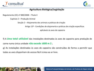 Modo de Produção Biológico de Animais e de Produtos de Origem Animal
Agricultura Biológica/Legislação
Regulamento (CE) nº 889/2008 – Título II
Capítulo 2 – Produção Animal
Secção 2 – Alojamento dos animais e práticas de criação
Artigo 12º - Condições de alojamento e práticas de criação especificas
aplicáveis às aves de capoeira
f) A área total utilizável das instalações destinadas às aves de capoeira para produção de
carne numa única unidade não excede 1600 m 2 ;
g) As instalações destinadas às aves de capoeira são construídas de forma a permitir que
todas as aves disponham de acesso fácil à área ao ar livre.
 