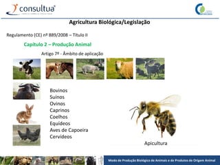 Modo de Produção Biológico de Animais e de Produtos de Origem Animal
Agricultura Biológica/Legislação
Regulamento (CE) nº 889/2008 – Título II
Capítulo 2 – Produção Animal
Artigo 7º - Âmbito de aplicação
Bovinos
Suínos
Ovinos
Caprinos
Coelhos
Equídeos
Aves de Capoeira
Cervídeos
Apicultura
 
