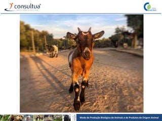 Modo de Produção Biológico de Animais e de Produtos de Origem Animal
 