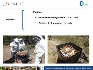 Modo de Produção Biológico de Animais e de Produtos de Origem Animal
Apicultor
• Profilaxia
• Limpeza e desinfecção anual dos estrados
• Desinfecção dos quadros com soda
 