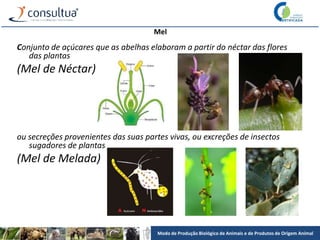 Modo de Produção Biológico de Animais e de Produtos de Origem Animal
Mel
Conjunto de açúcares que as abelhas elaboram a partir do néctar das flores
das plantas
(Mel de Néctar)
ou secreções provenientes das suas partes vivas, ou excreções de insectos
sugadores de plantas
(Mel de Melada)
 