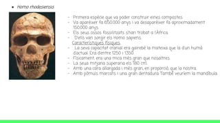 - Primera espècie que va poder construir eines compostes.
- Va aparèixer fa 650.000 anys i va desaparèixer fa aproximadament
150.000 anys.
- Els seus ossos fossilitzats s'han trobat a l'Àfrica.
- D'ells van sorgir els Homo sapiens.
Característiques físiques.
- La seva capacitat cranial era gairebé la mateixa que la d'un humà
d'actual. Era d’entre 1250 i 1350.
- Físicament, era una mica més gran que nosaltres.
- La seua mitjana superaria els 180 cm.
- Amb una cara allargada i més gran, en proporció, que la nostra.
- Amb pòmuls marcats i una gran dentadura. També veuríem la mandíbula.
● Homo rhodesiensis
 