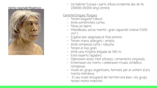 Homo neanderthalensis
- Va habitar Europa i parts d'Àsia occidental des de fa
230000-29.000 anys enrere.
Característiques físiques
- Tenien esquelet robust.
- Amb extremitats curtes.
- Tòrax en barril.
- Mandíbules sense mentó i gran capacitat cranial (1.500
cm³ ).
- Espècie ben adaptada al fred extrem.
- Tenien cranis allargats i amplis.
- Amb complexió curta i robusta.
- Tenien el nas gran.
- Amb una mitjana d’alçada de 1,65 m.
- Eren experts caçadors.
- Fabricaven eines molt eficaces i ornaments corporals.
- Enterraven els morts i celebraven rituals simbòlics
complexos.
- Vivien en grups organitzats, formats per al voltant d'uns
trenta membres.
- El seu nivell d'ocupació del territori era baix i els grups
tenien molta mobilitat.
 