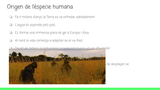 Origen de l’èspecie humana
❏ Fa 4 milions d'anys la Terra es va refredar sobtadament.
❏ L'aigua és aspirada pels pols.
❏ Es forma una immensa placa de gel a Europa i Àsia.
❏ Al nord la vida comença a adaptar-se al va fred.
❏ Davall els tròpics la naturalesa assedegada busca un poc d'humitat.
❏ Els grans primats assisteixen a la desaparició dels seus boscos.
❏ Dos d'ells s'adapten a la sabana i experimenten una nova forma de desplaçar-se.
 