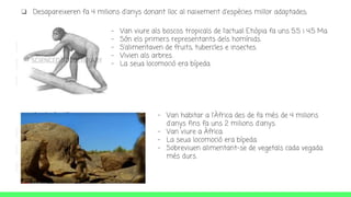 ❏ Desapareixeren fa 4 milions d'anys donant lloc al naixement d'espècies millor adaptades;
● El Ardipithecus
● Australopithecus
- Van viure als boscos tropicals de l’actual Etiòpia fa uns 5.5 i 4.5 Ma.
- Són els primers representants dels homínids.
- S’alimentaven de fruits, tubercles e insectes.
- Vivien als arbres.
- La seua locomoció era bípeda.
- Van habitar a l'Àfrica des de fa més de 4 milions
d'anys fins fa uns 2 milions d'anys.
- Van viure a Àfrica.
- La seua locomoció era bípeda.
- Sobreviuen alimentant-se de vegetals cada vegada
més durs.
 