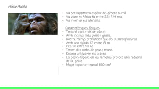 Homo Habilis
- Va ser la primera espècie del gènere humà.
- Va viure en África fa entre 2.5 i 1.44 m.a.
- Va inventar els utensilis.
Característiques físiques
- Tenia el crani més arrodonit.
- Amb incisius més plans i grans.
- Rostre menys pronunciat que els australopithecus.
- Amb una alçada: 1.2 entre 1.4 m
- Pes: 40 entre 50 kg
- Tenien dits corbs de peus i mans.
- Encara utilitzaven els arbres.
- La posició bípeda en les femelles provoca una reducció
de la pelvis.
- Major capacitat cranial 650 cm³.
 