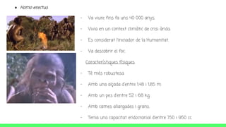 - Va viure fins fa uns 40 000 anys.
- Vivia en un context climàtic de crisi àrida.
- Es considerat l’iniciador de la Humanitat.
- Va descobrir el foc.
Característiques físiques.
- Té més robustesa.
- Amb una alçada d'entre 1,48 i 1,85 m.
- Amb un pes d'entre 52 i 68 kg.
- Amb cames allargades i grans.
- Tenia una capacitat endocranial d'entre 750 i 950 cc.
● Homo erectus
 
