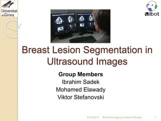 Breast Lesion Segmentation in
Ultrasound Images
Group Members
Ibrahim Sadek
Mohamed Elawady
Viktor Stefanovski
Medical Imaging Analysis Module 1
 