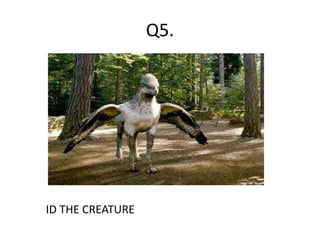 Q5.
ID THE CREATURE
 