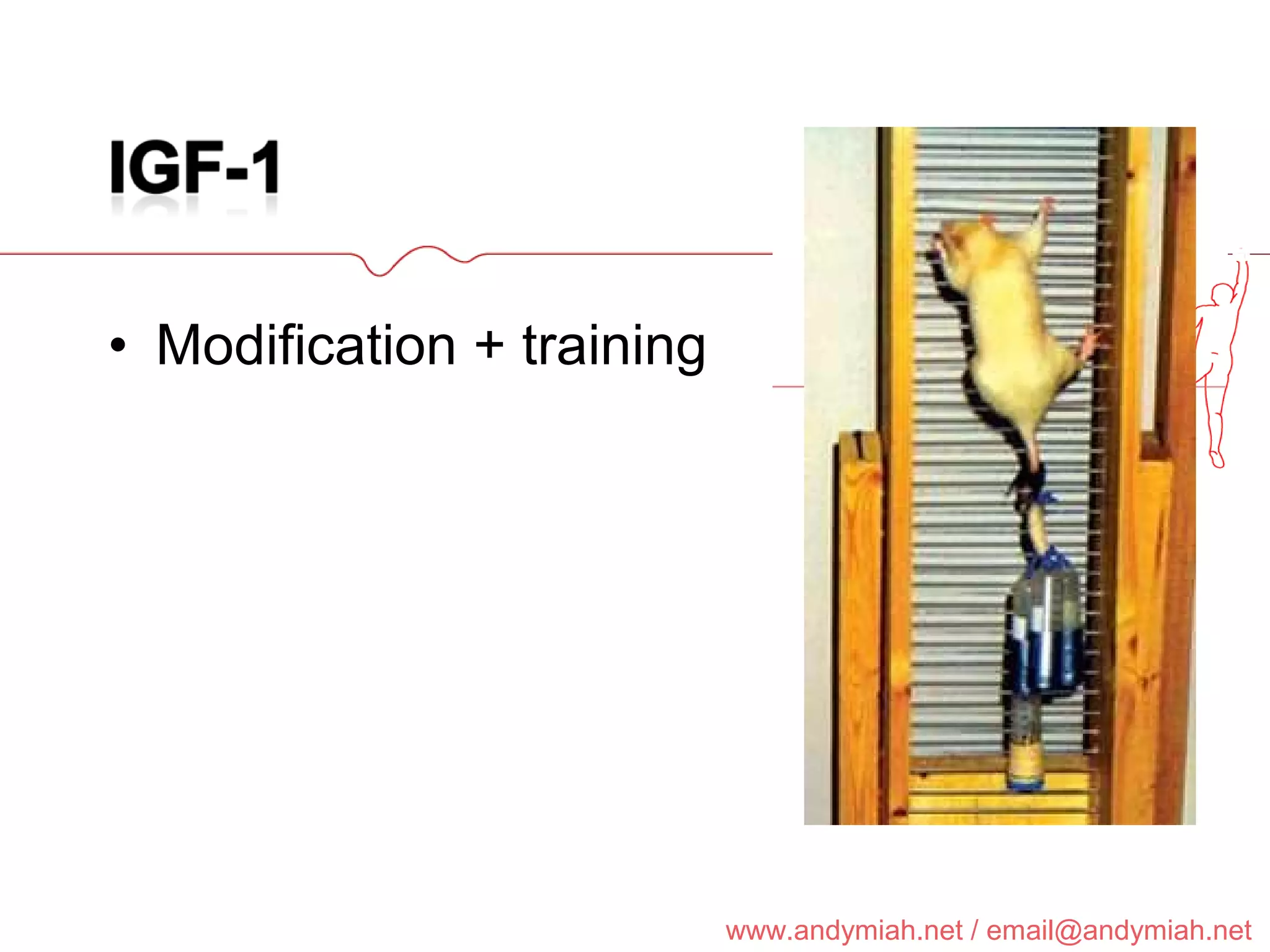 Modification + training 