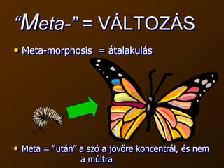 Életfilozófia
