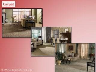 Miami Carpet And Hardwood Floor